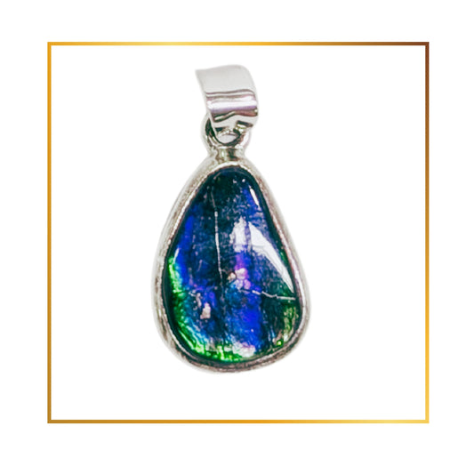 Pendentif Ammolite